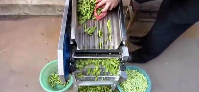 青毛豆剥壳机器