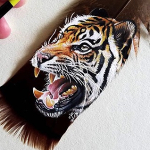 美妙绝伦的羽毛绘画