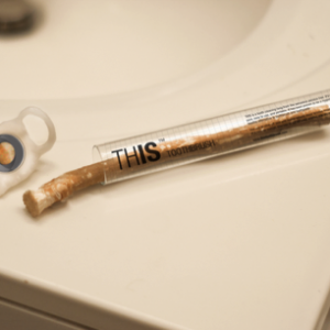 有趣的树枝牙刷