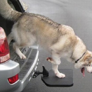 车用便携宠物阶梯