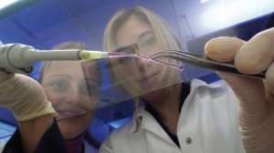 3D打印机制出人造血管