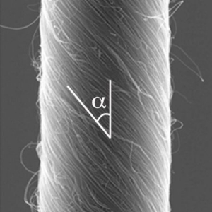 纳米纤维人造肌肉