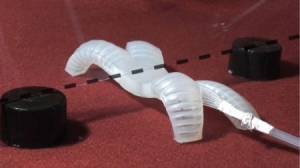 新型软体机器人