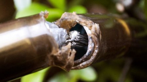 具有自我修复功能的电路