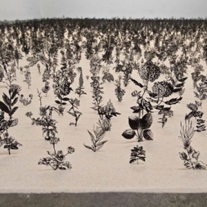 精美的金属植物园