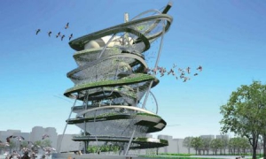 为飞鸟建造的摩天大楼