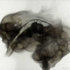 不可思议的烟熏画