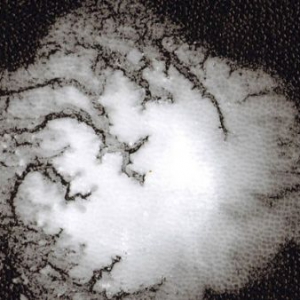 世界上最便宜轻便的二氧化碳吸收材料