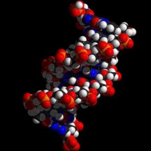 DNA纳米技术制成世界上最小的火车