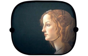 趣味汽车遮阳布