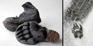 五花八门的足迹鞋