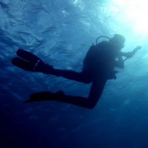 水下也可使用的太阳能电池板