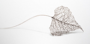 细如丝的头发树叶