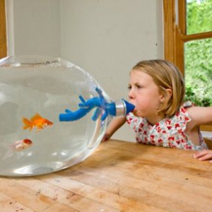 五花八门的鱼缸集锦