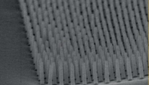 让机器也有触觉的电子毛发“皮肤”