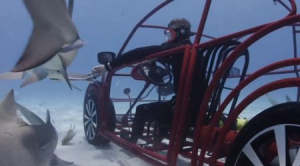 大众甲壳虫之海底鲨鱼观光车