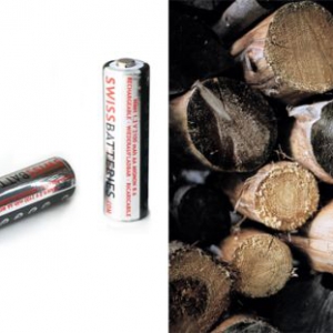 以木材为基础的环保电池