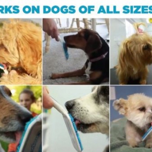 狗狗口腔护理舌刷