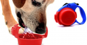 便携狗狗饮水碗