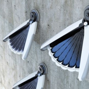 优美的扇形羽翼太阳能灯