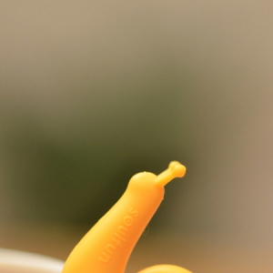 可爱的蜗牛夹子