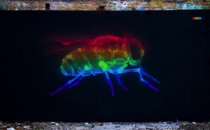 X光风格的街头涂鸦