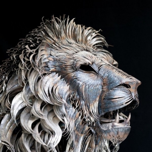 铁毛雄狮