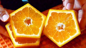 五边形橘子