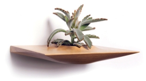 漂亮的植物托盘