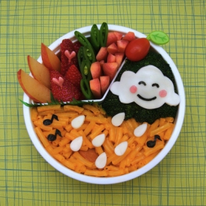 赏心悦目的营养午餐