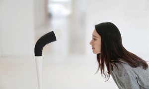 识别面容的情感机器人