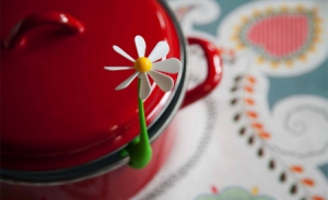 美丽的锅沿小花