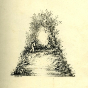 字母表中的美丽风景