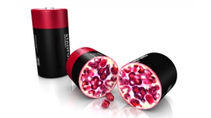 大容量“石榴”电极电池