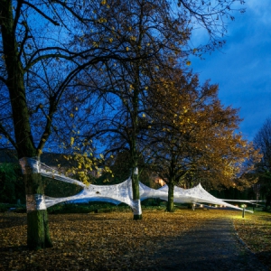 绑在树上的胶带巢穴