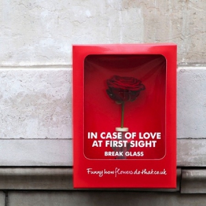 玫瑰“应急警报”