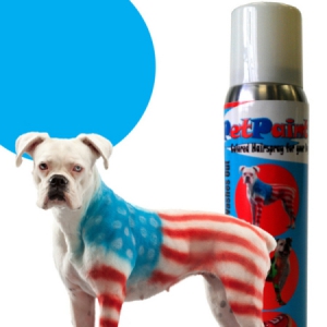 宠物喷漆“衣”