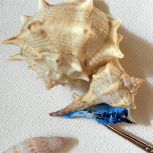 精美绝伦的袖珍风景画（二）