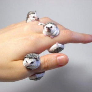 萌呆的动物戒指