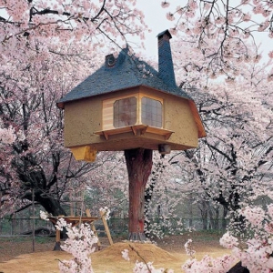 被樱花所围绕的美丽树房子