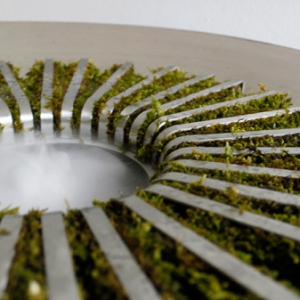 种着苔藓的加湿器