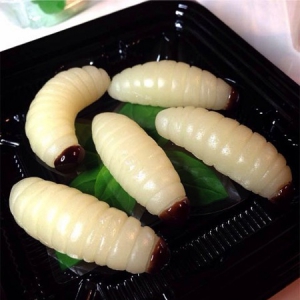 Gummi软糖大虫