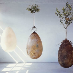 植树造林胶囊状棺具