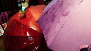 隐藏着美丽图案的雨伞