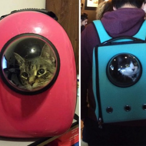 好奇害死猫的圆窗背包