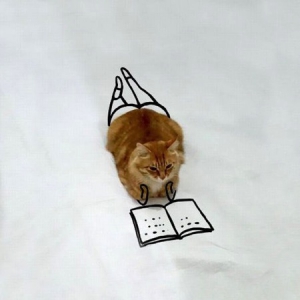 趣味插画之被玩坏的喵星人