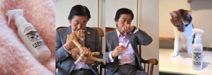 霓虹国出品的猫爪手霜&猫头香水