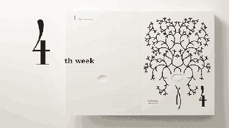 趣味怀孕日记本