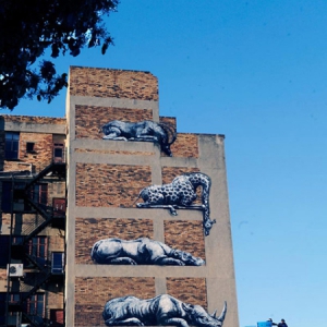 栖息在楼上的猛兽们之街头艺术绘画