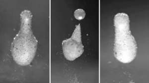 让水滴瞬间“凝固”的神奇粉末